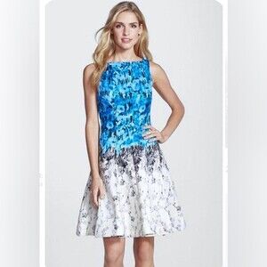 Julian Taylor beautiful blue and white floral print dress size 4